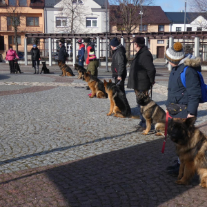 rynek-koziegowy-1-20220213-1454946686