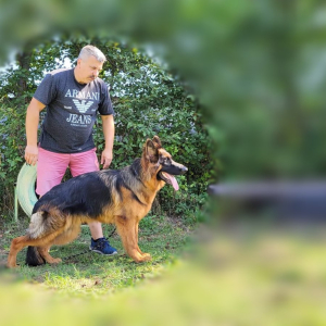 syn-z-miotu-d-o-jeff-sfora-z-zakrzewa-1-20220827-1184751842