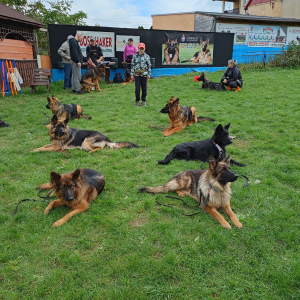 szkolenie-2-20220918-1051496676