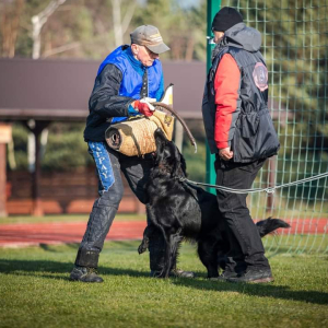 testy-psychiczne-majka-z-rudzkiej-watahy-1-20221125-1147733422