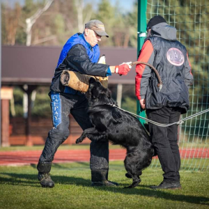 testy-psychiczne-majka-z-rudzkiej-watahy-2-20221125-1917828300