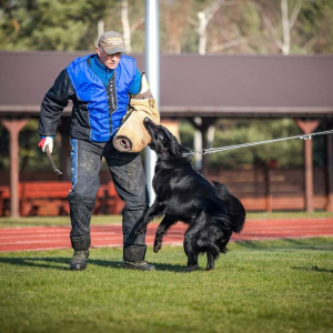 testy-psychiczne-majka-z-rudzkiej-watahy-3-20221125-1376458306