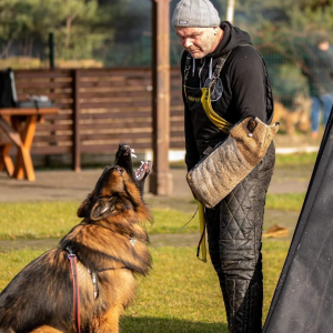 FB_IMG_1708367931002